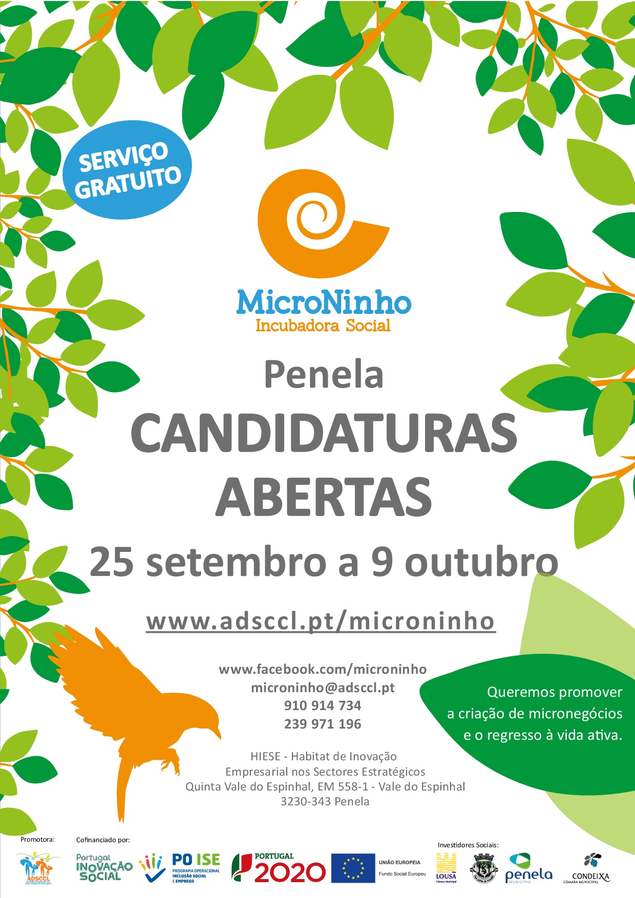 Microninho – Incubadora Social PENELA