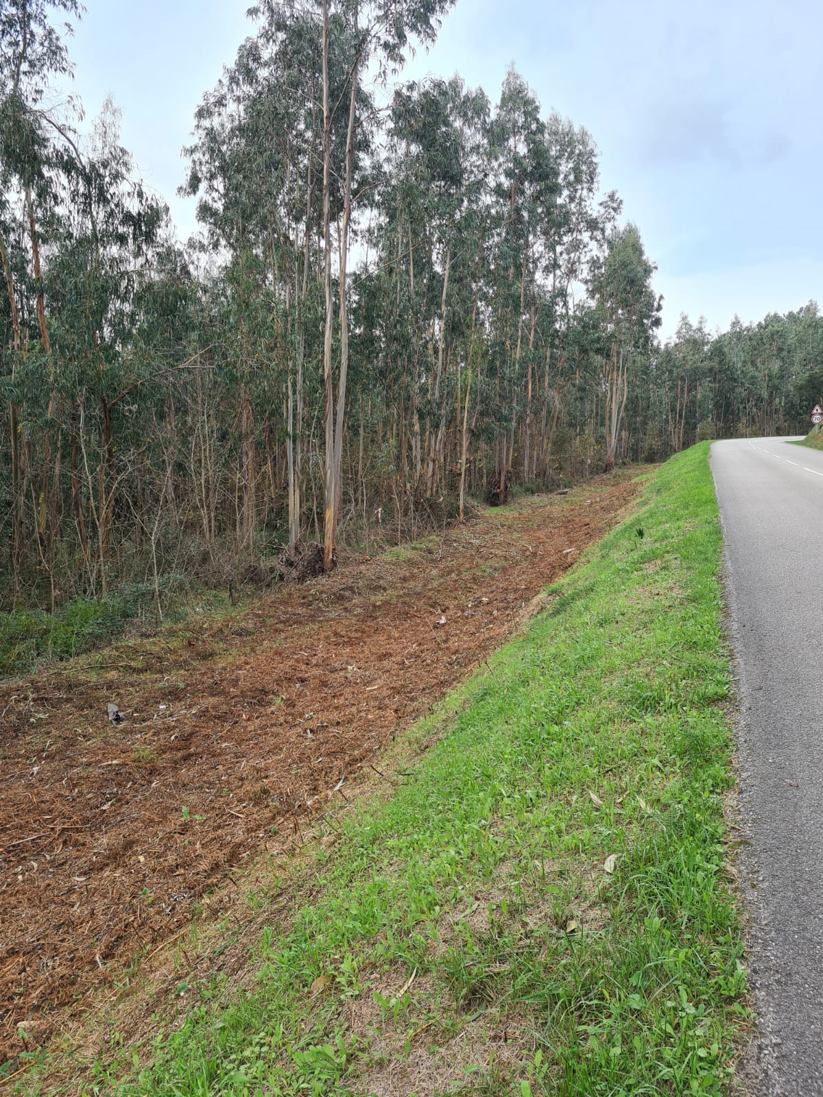 Gestão de combustível em faixas da rede de estradas e caminhos municipais, zonas industriais e pontos de água