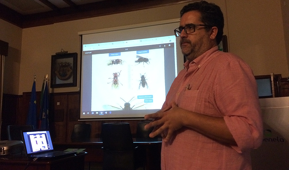 Penela promoveu sessão de esclarecimentos sobre vespa asiática
