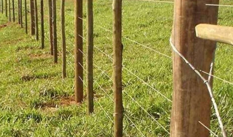 Apoio aos agricultores para instalação de vedações – candidaturas até 31 de julho